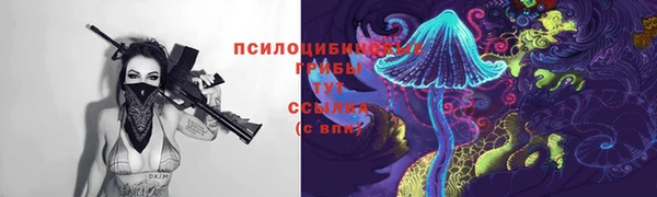 шишки Мегион