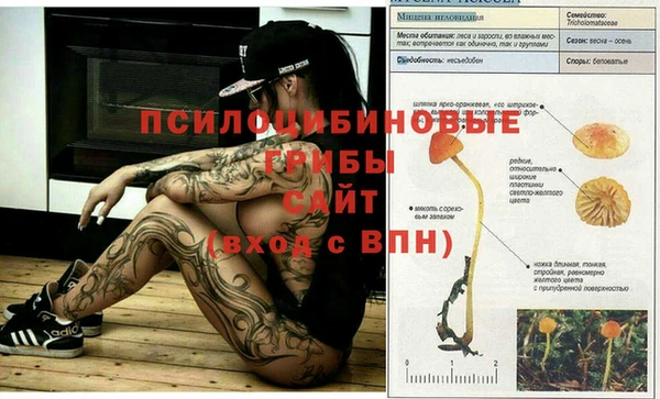 2c-b Медвежьегорск