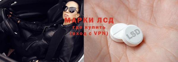 гашик Майский