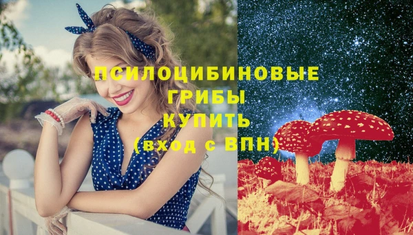 гашик Майский