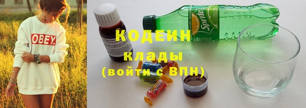 гашик Майский