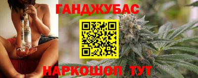 гашик Донской
