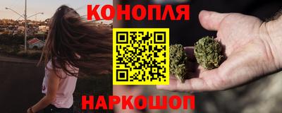 гашик Донской