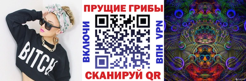 купить наркотики цена  Феодосия  Псилоцибиновые грибы мухоморы 