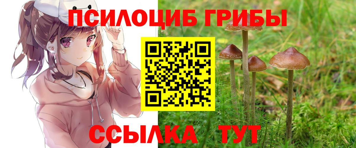 Галлюциногенные грибы прущие грибы  Вход с VPN  что такое   Феодосия 