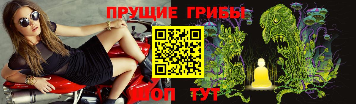 Псилоцибиновые грибы Cubensis Феодосия